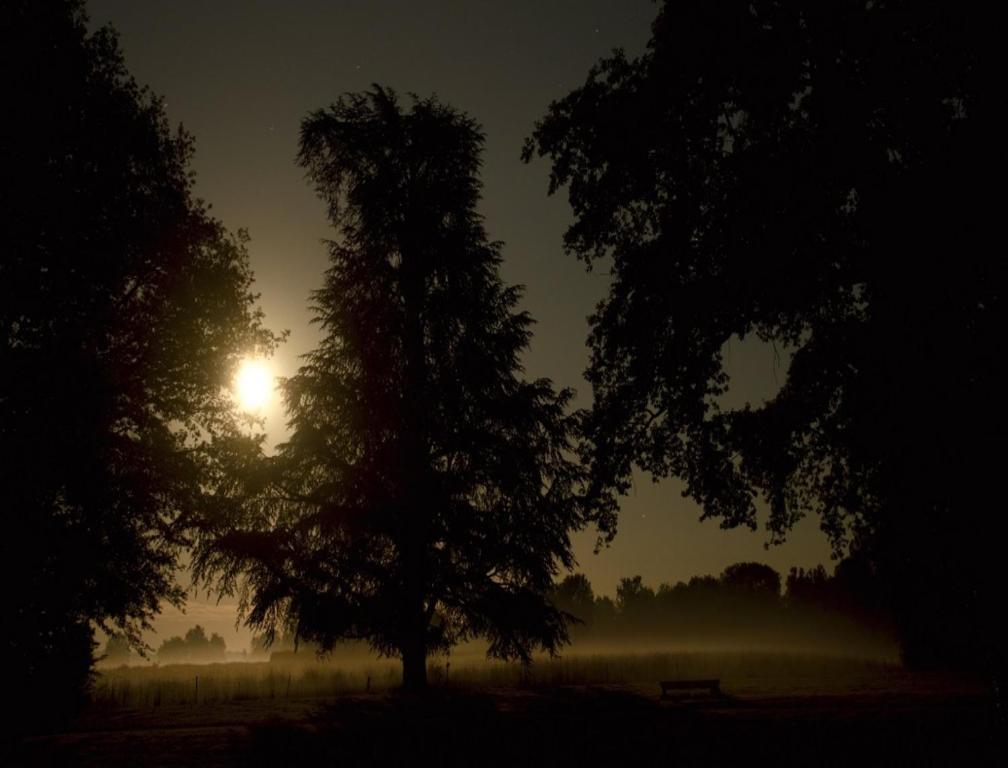 Chateau De Villars Villeneuve-sur-Allier ภายนอก รูปภาพ