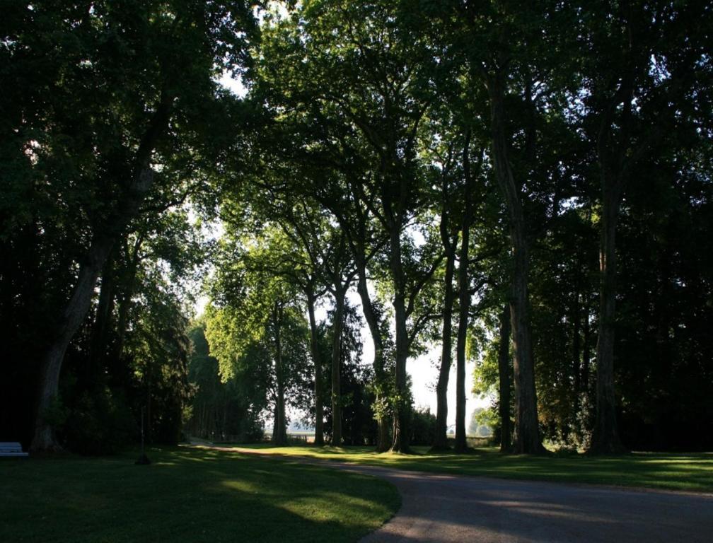 Chateau De Villars Villeneuve-sur-Allier ภายนอก รูปภาพ